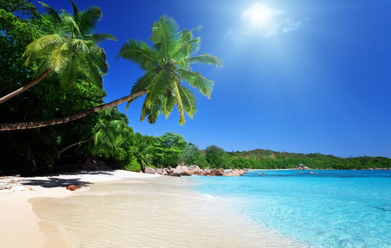 Tropical beach with palm trees