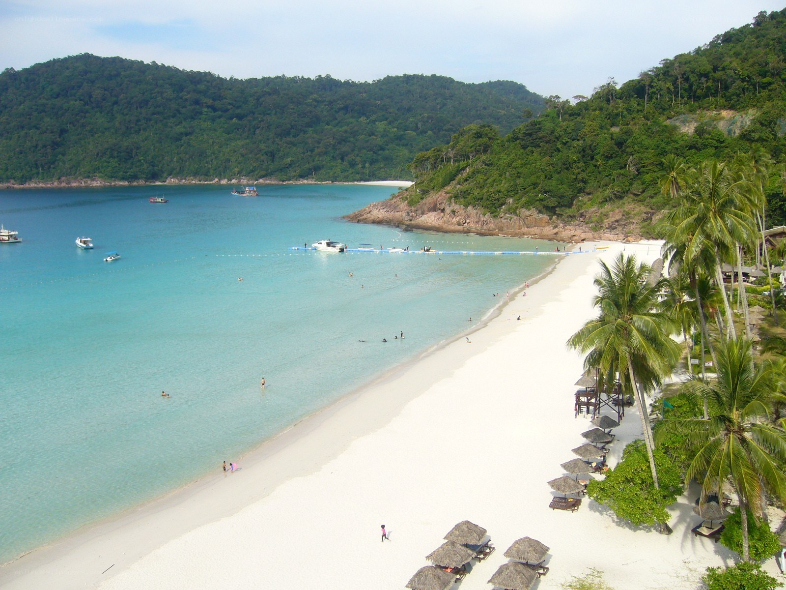 tropical beach with palm trees