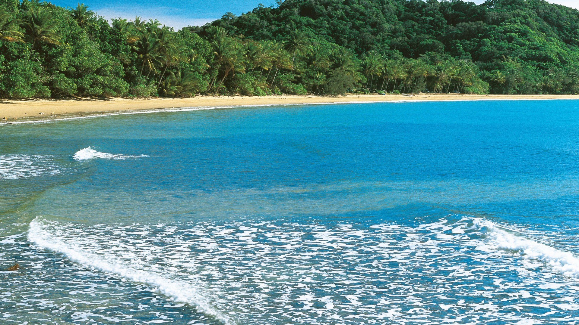 tropical beach with palm trees