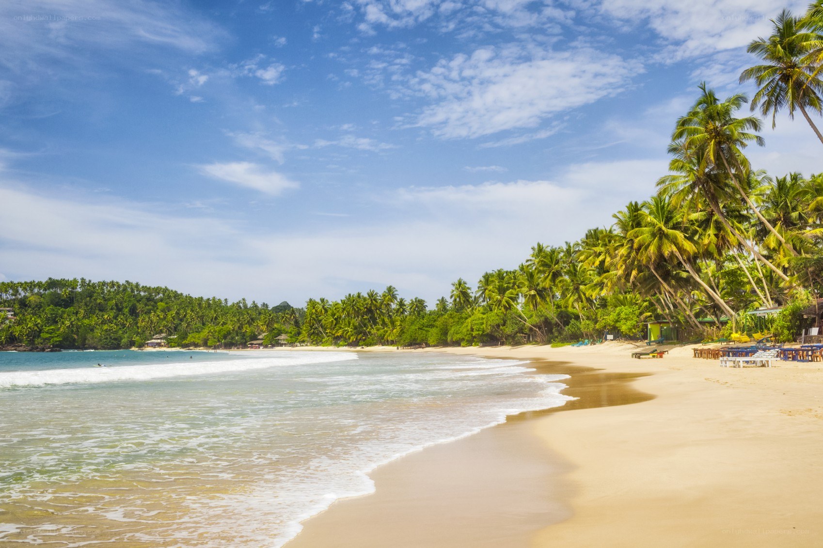 tropical beach with palm trees