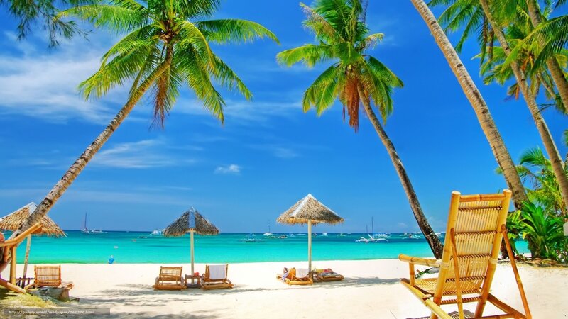 Tropical beach with palm trees