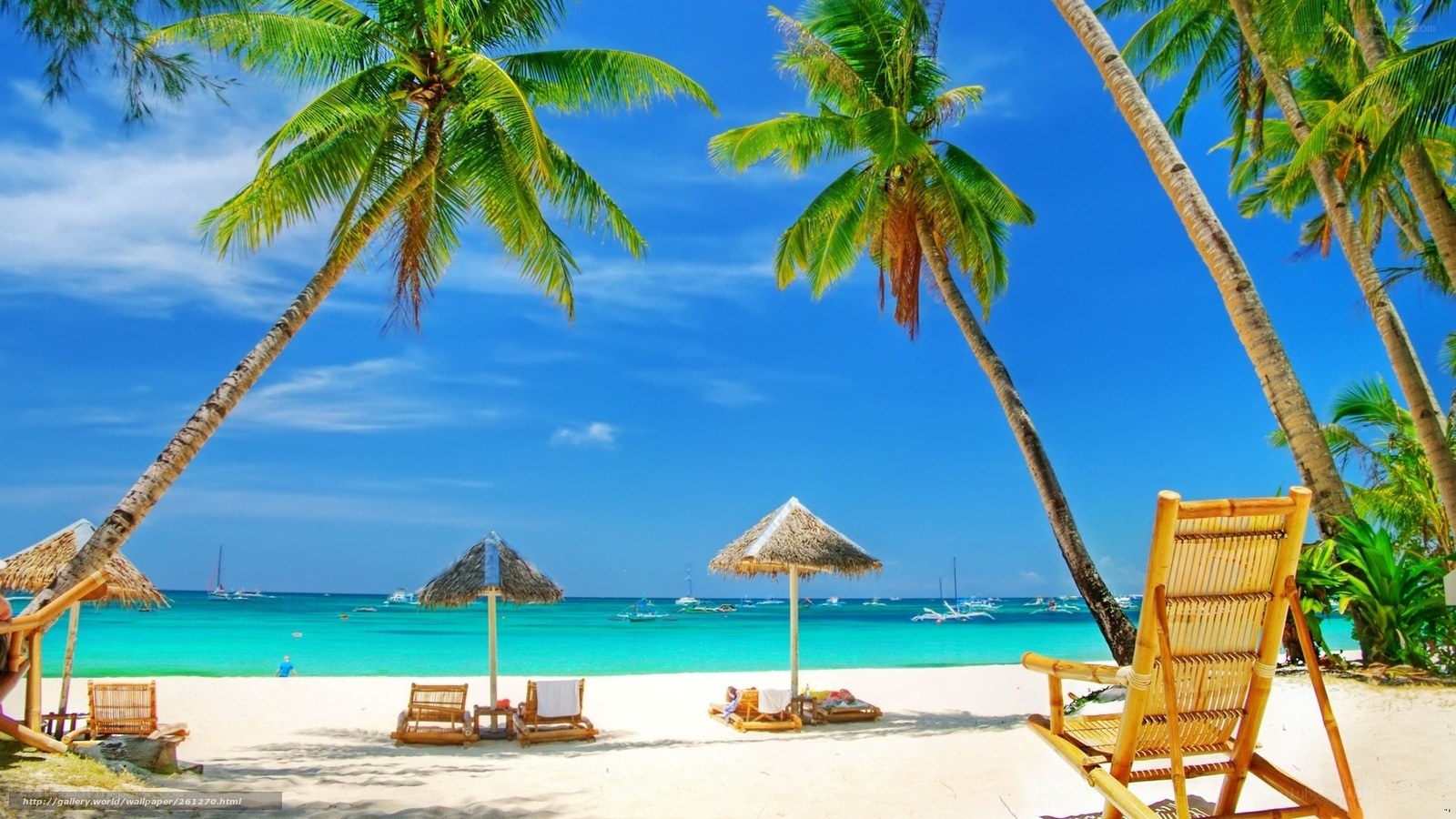 Tropical beach with palm trees