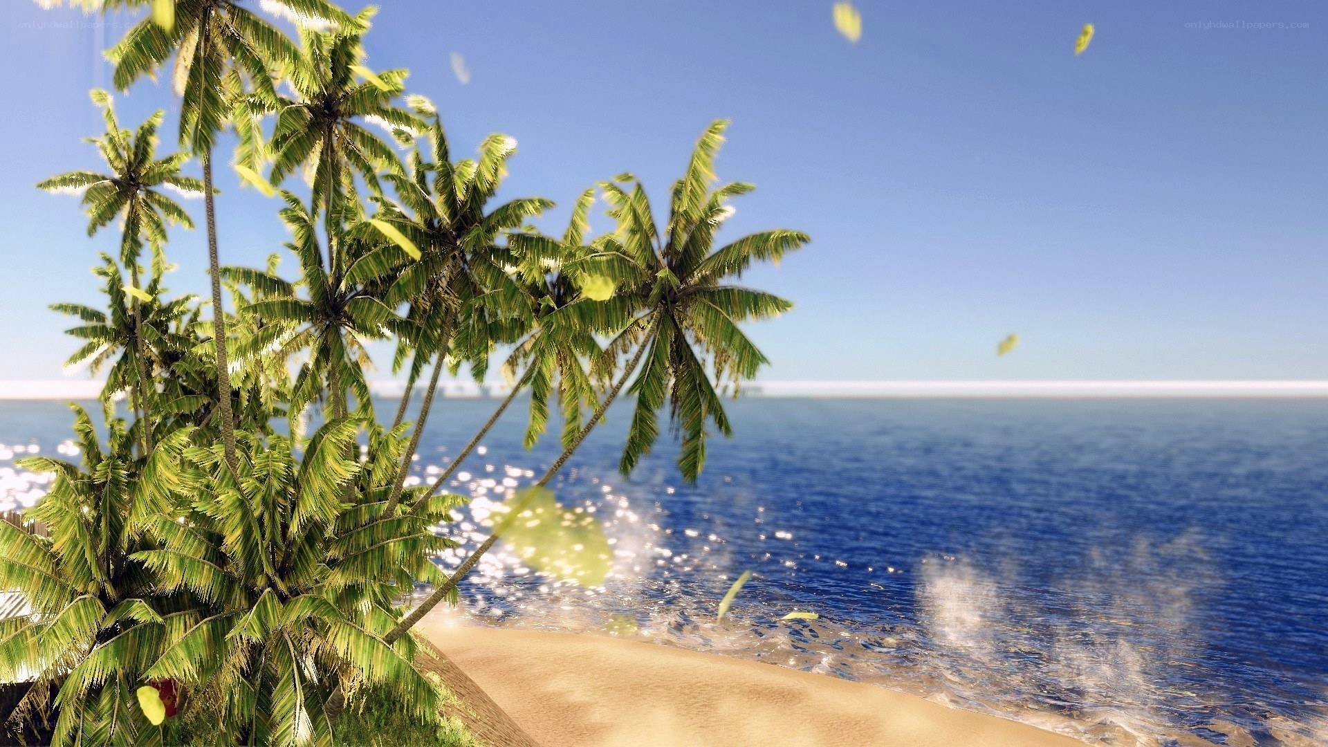 tropical beach with palm trees