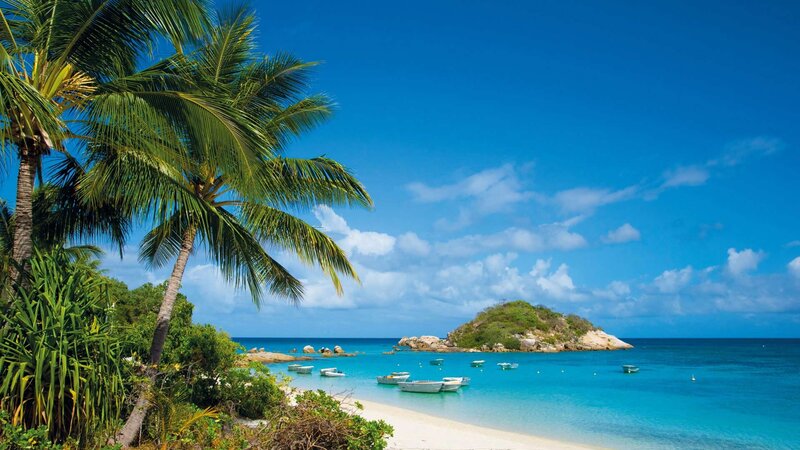tropical beach with palm trees