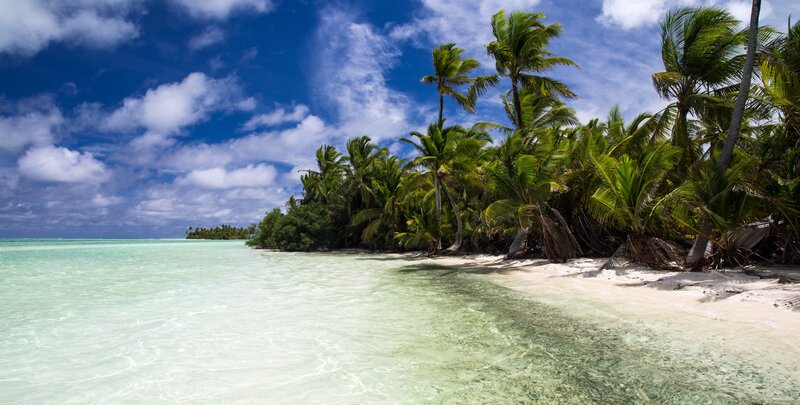 tropical beach with palm trees