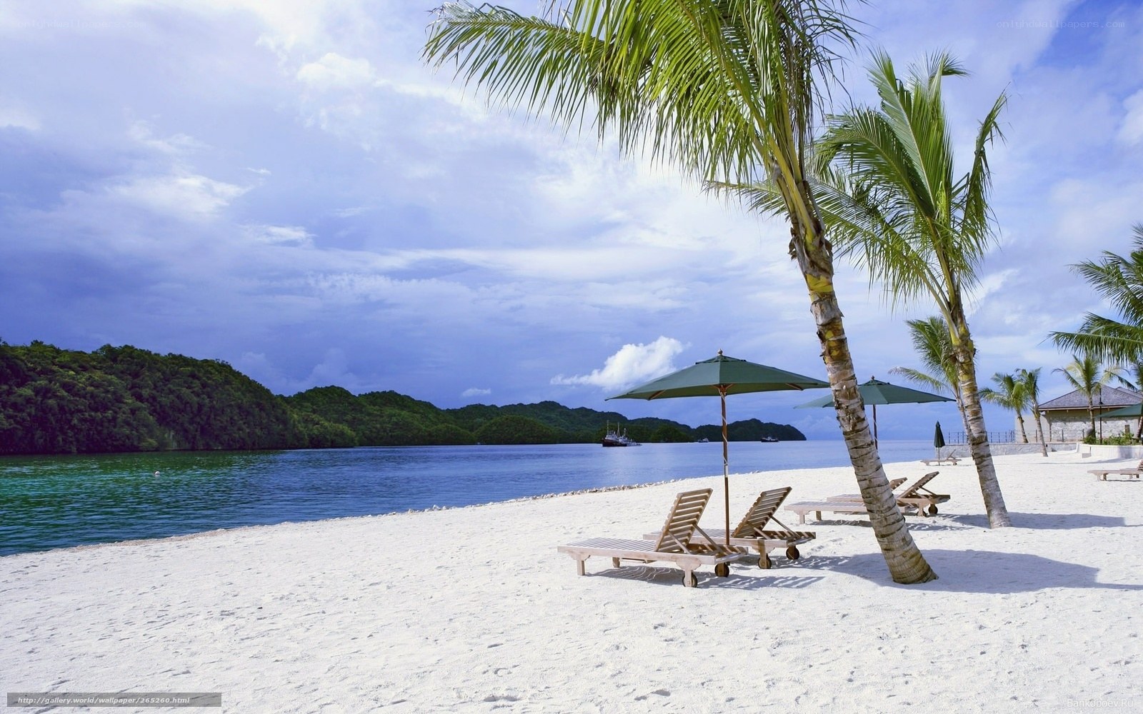 tropical beach with palm trees