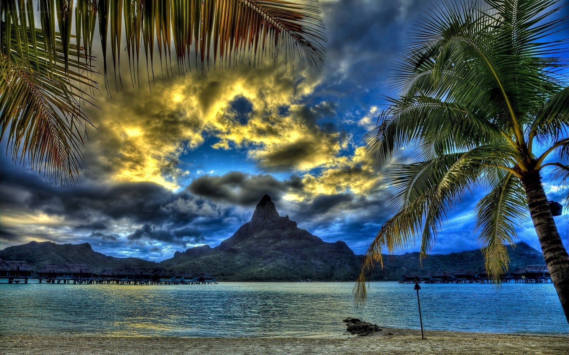 tropical beach with palm trees