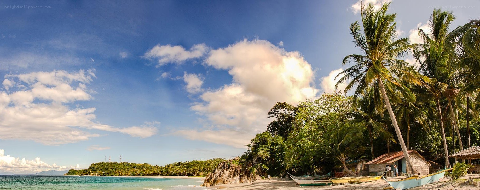 Tropical beach with palm trees