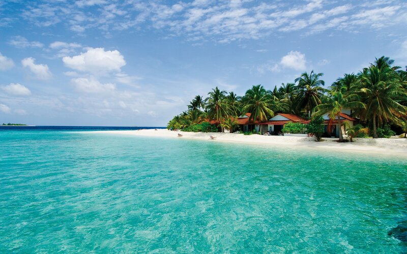 tropical beach with palm trees