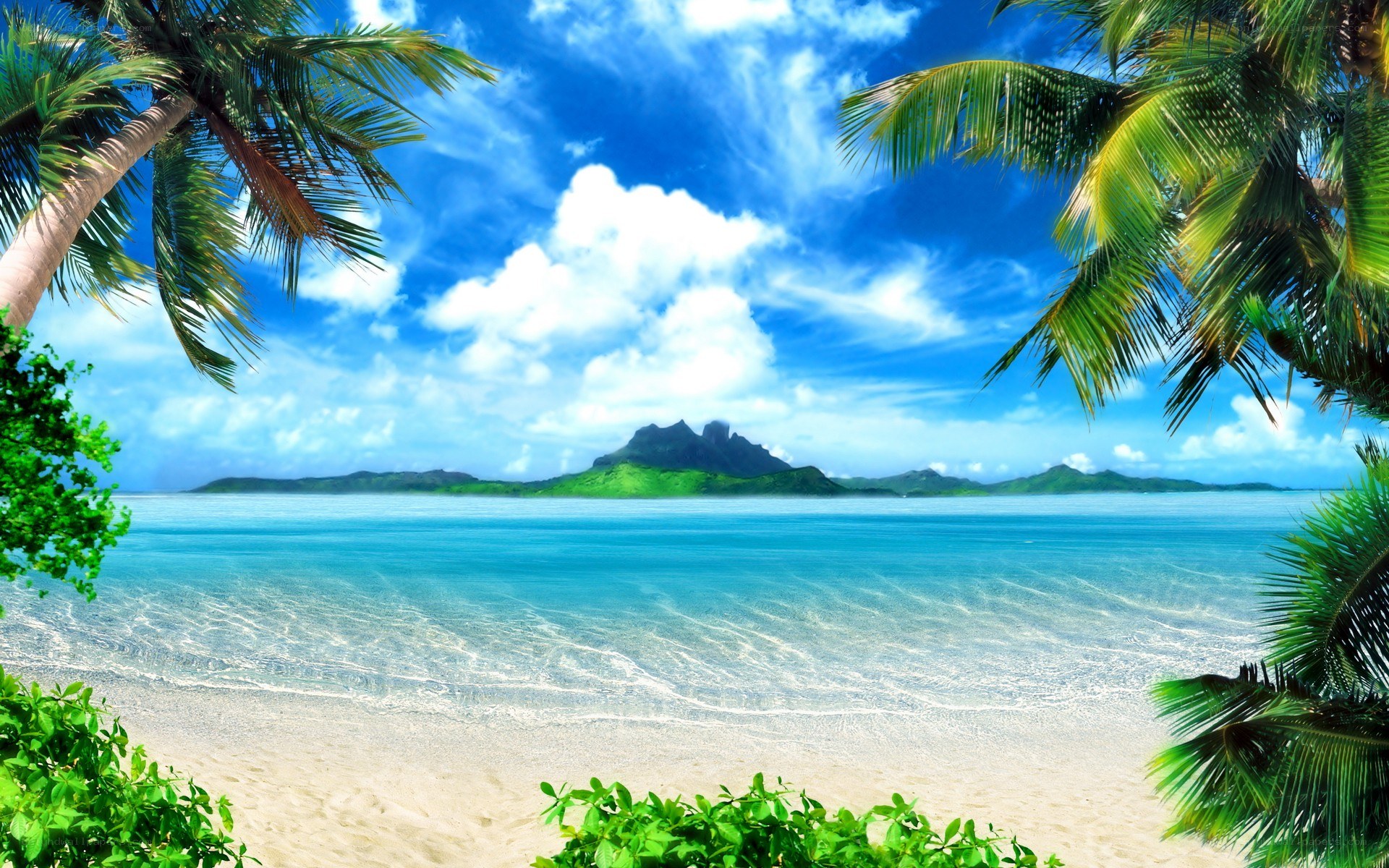 Tropical beach with palm trees