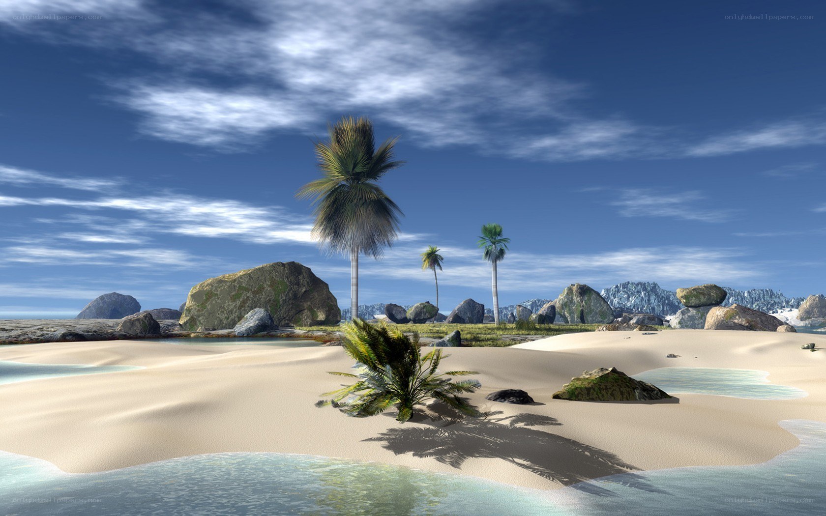 tropical beach with palm trees