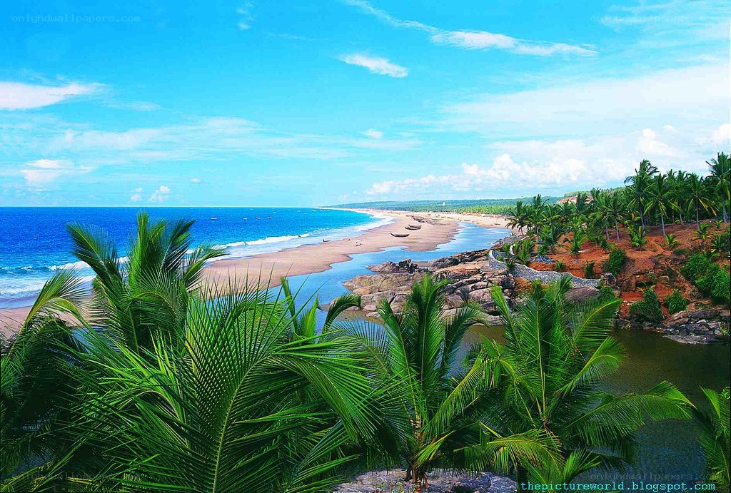 tropical beach with palm trees
