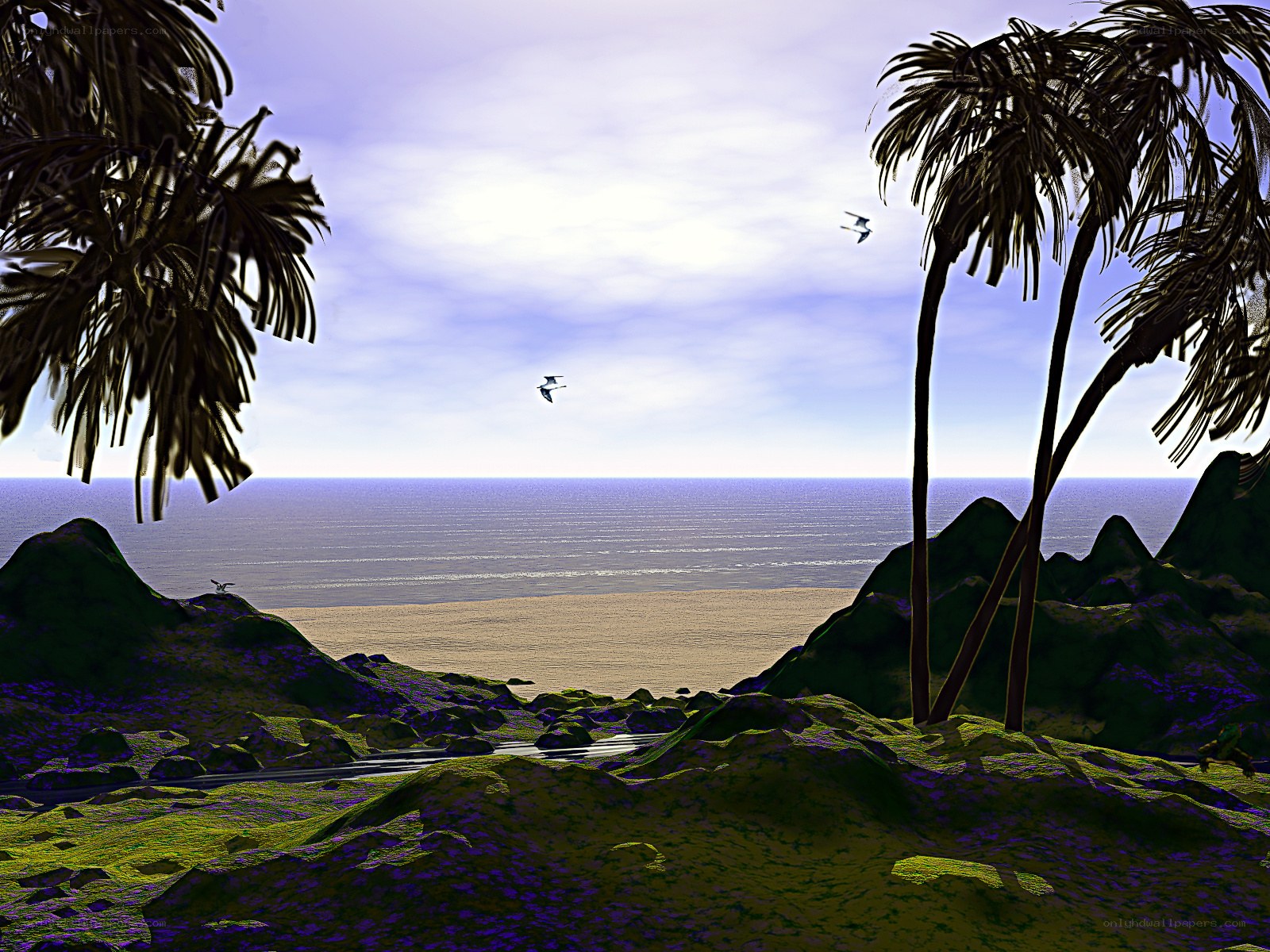 Tropical beach with palm trees