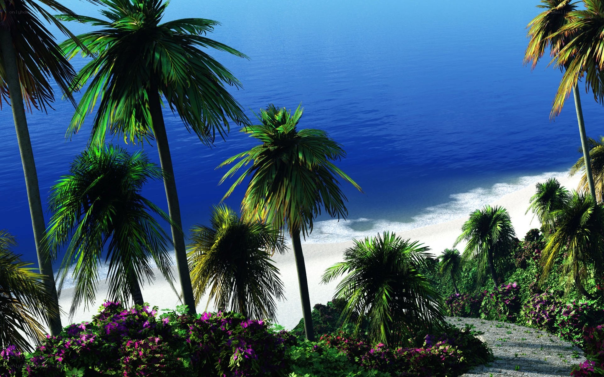 tropical beach with palm trees