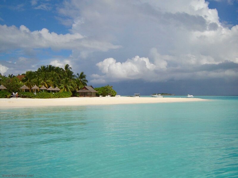 tropical beach with palm trees