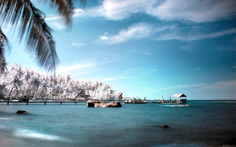 Tropical beach with palm trees