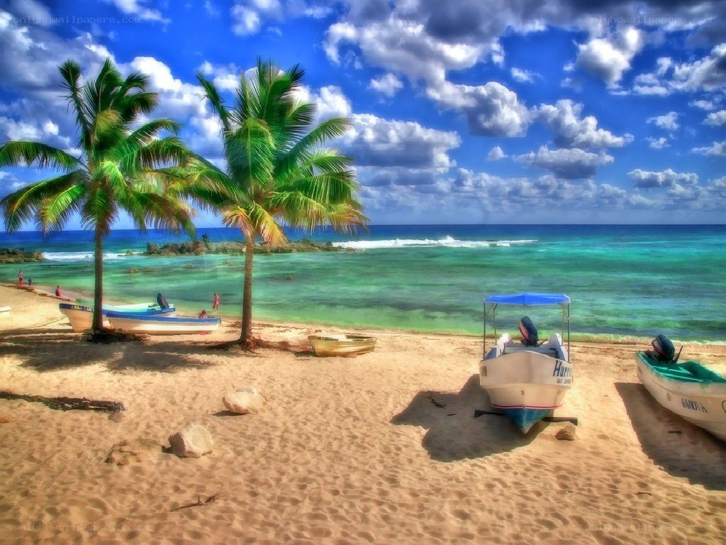 Tropical beach with palm trees