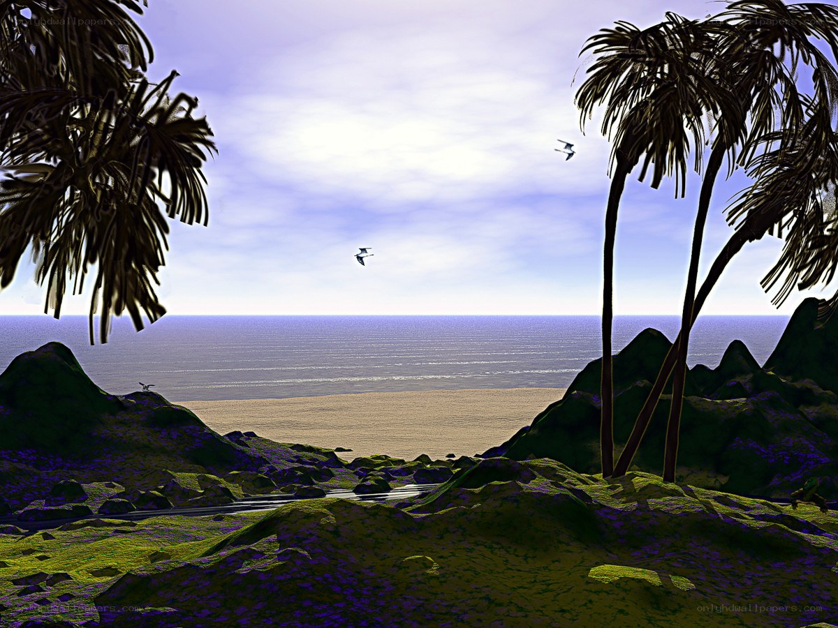tropical beach with palm trees