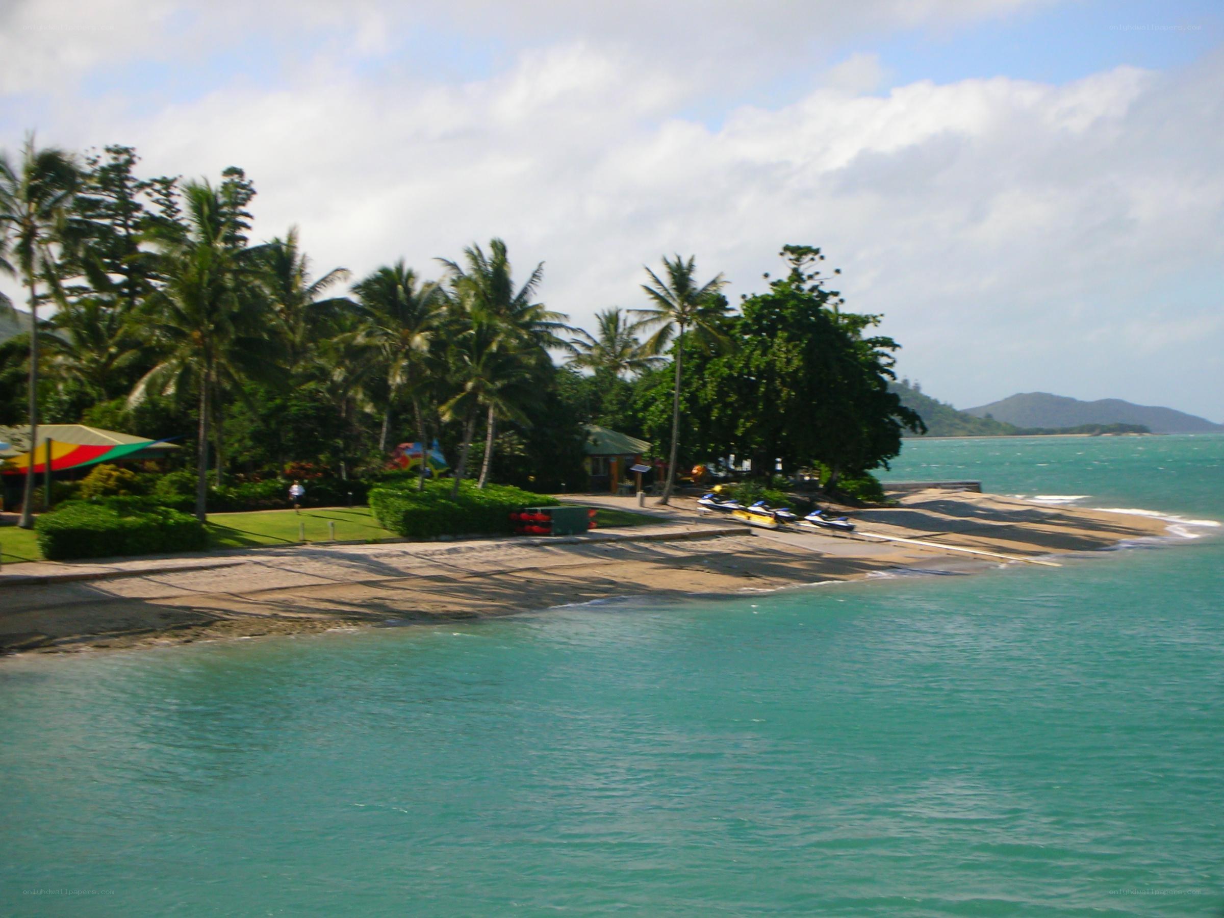 tropical beach with palm trees