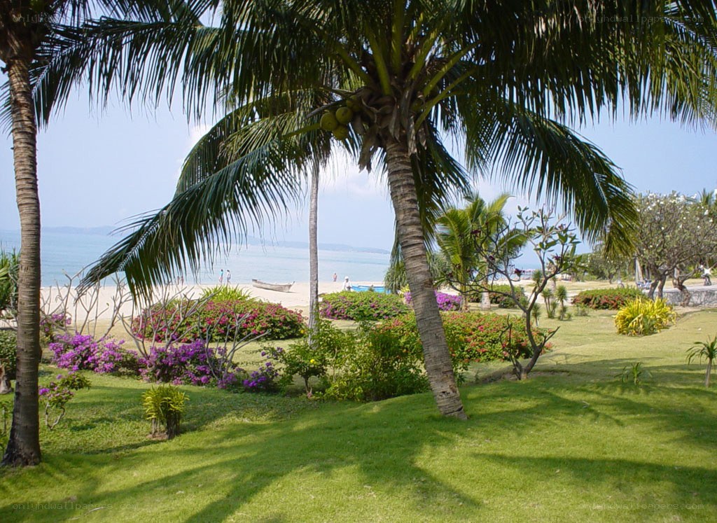 Tropical beach with palm trees