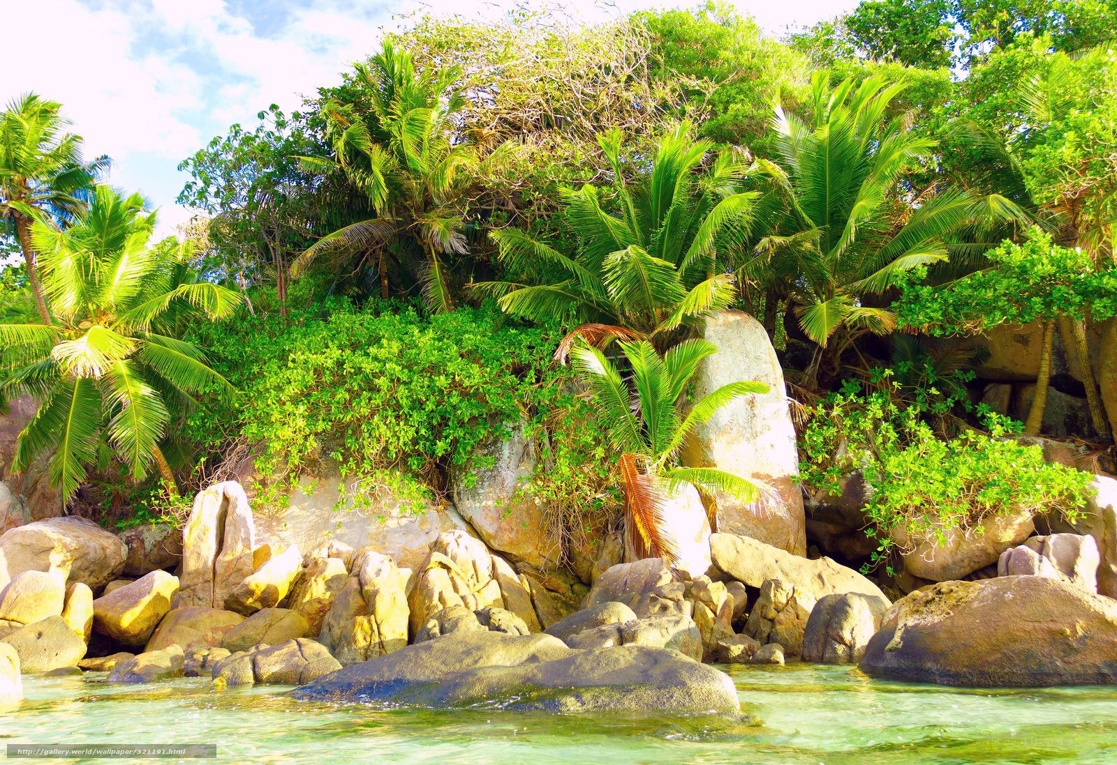 tropical beach with palm trees