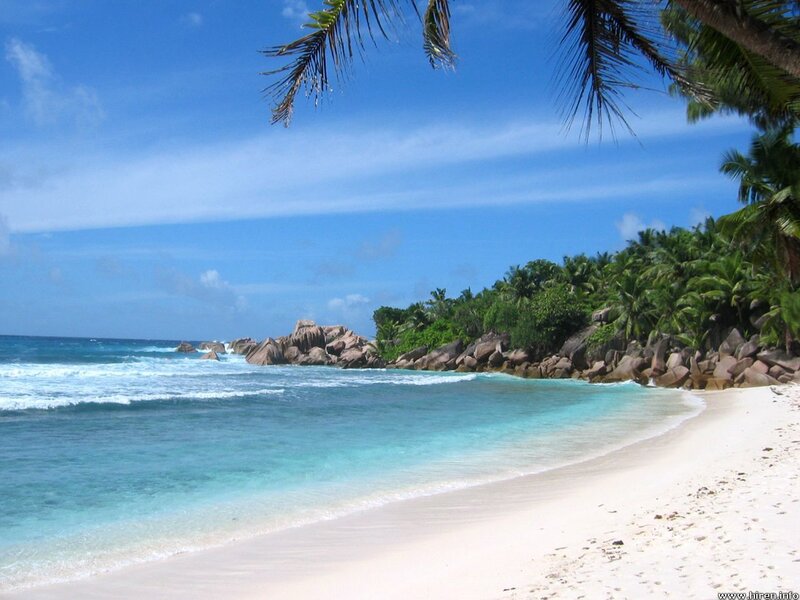 tropical beach with palm trees