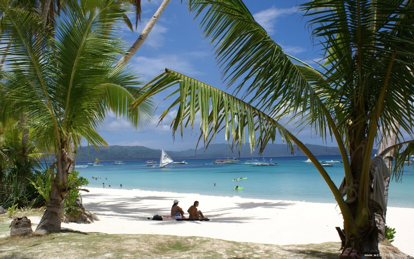 Tropical beach with palm trees