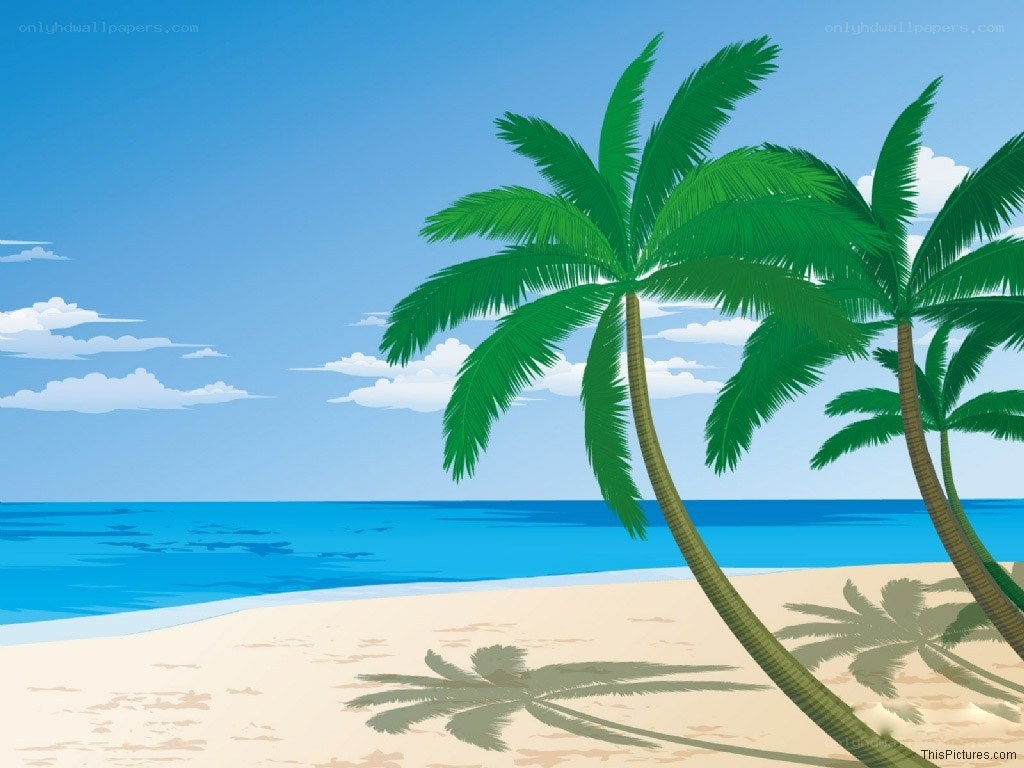 tropical beach with palm trees