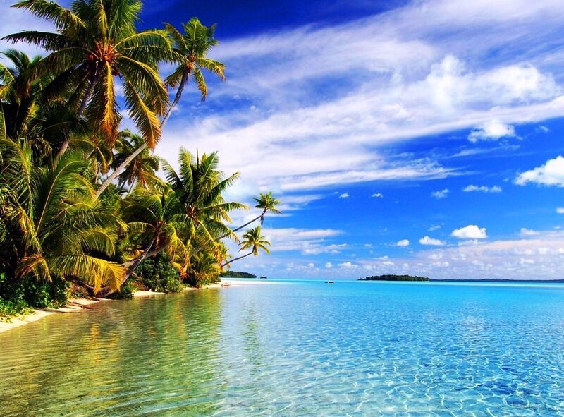 tropical beach with palm trees