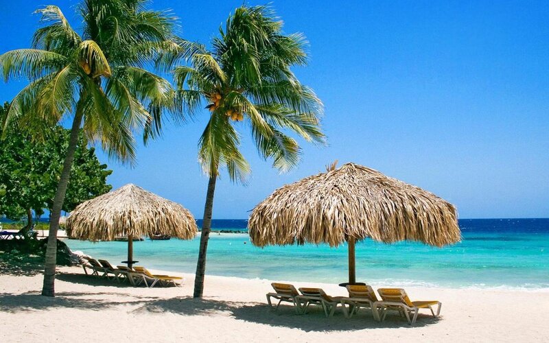 tropical beach with palm trees