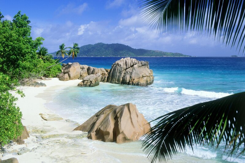 tropical beach with palm trees
