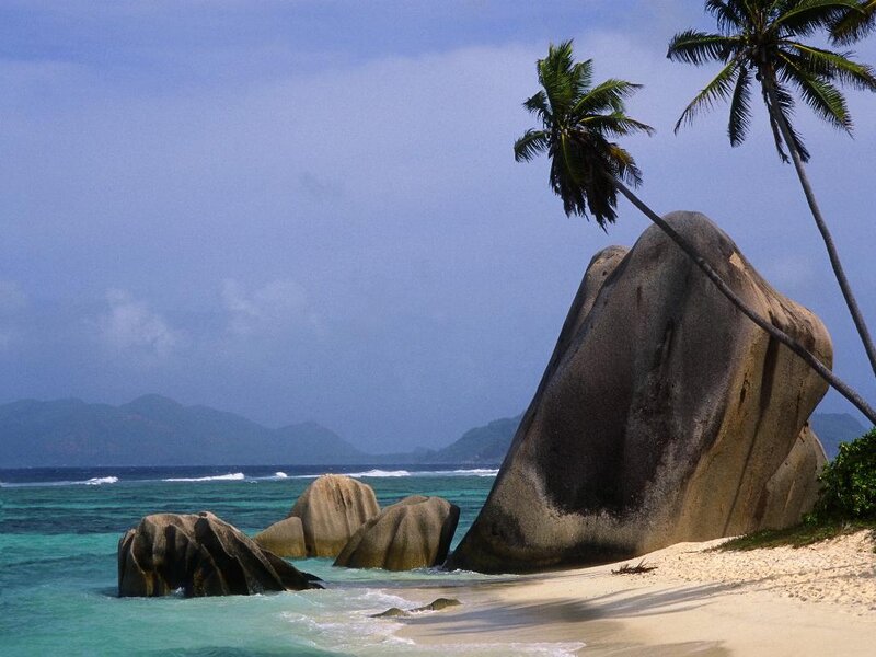 tropical beach with palm trees