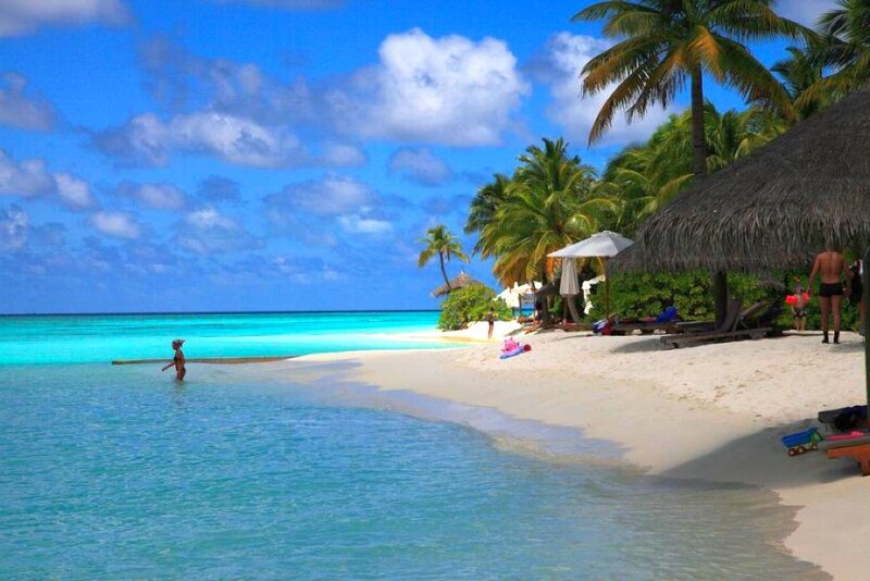 tropical beach with palm trees