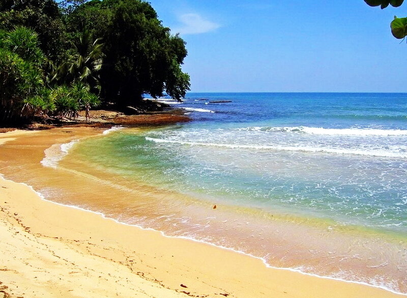 tropical beach with palm trees