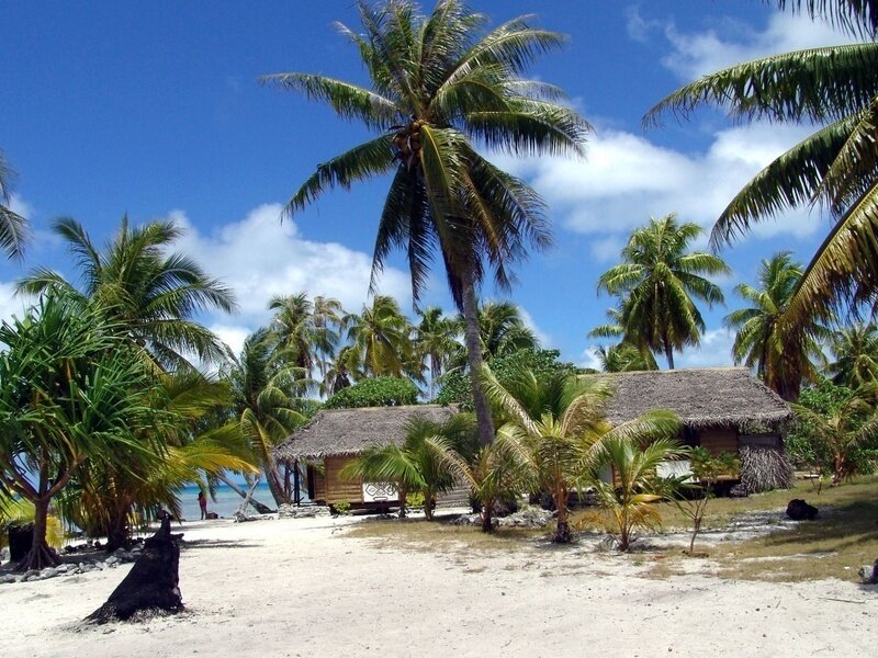 Tropical beach with palm trees