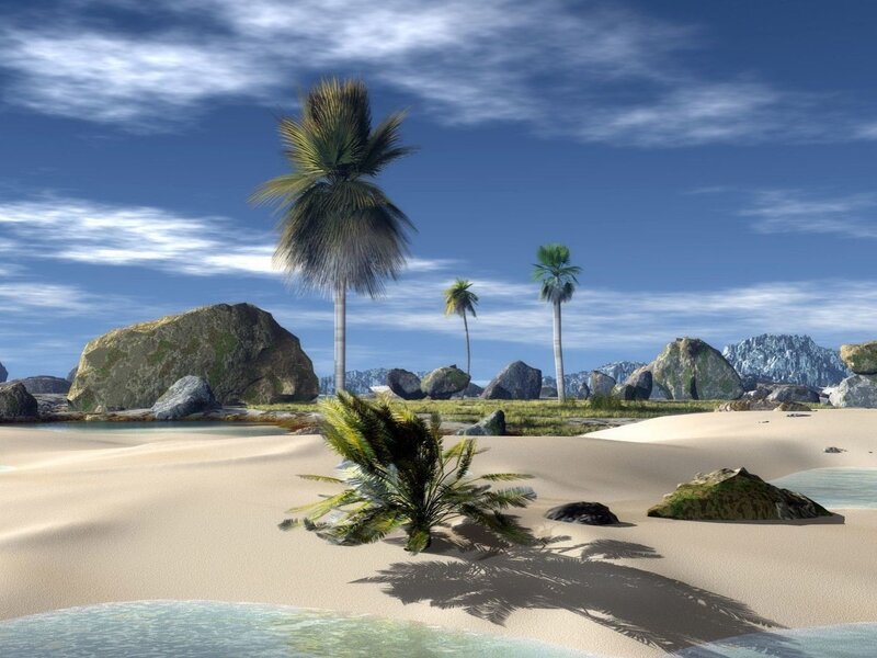 tropical beach with palm trees