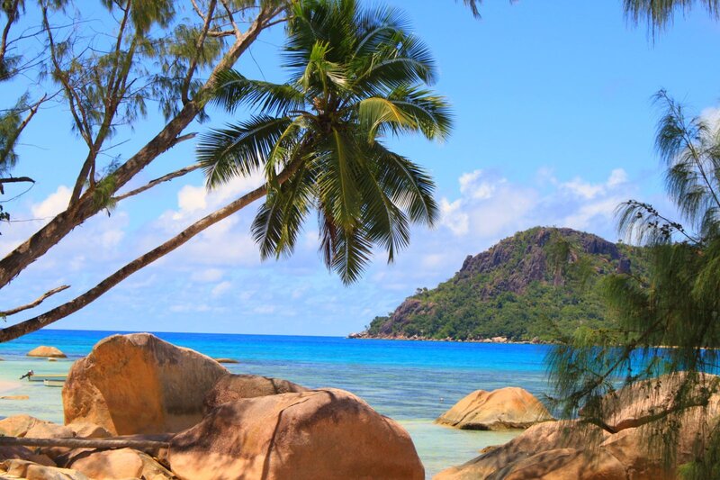 tropical beach with palm trees