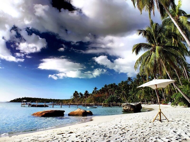 tropical beach with palm trees