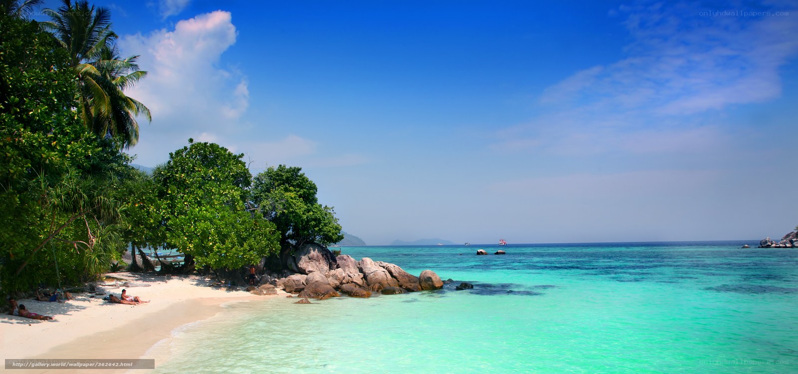 tropical beach with palm trees