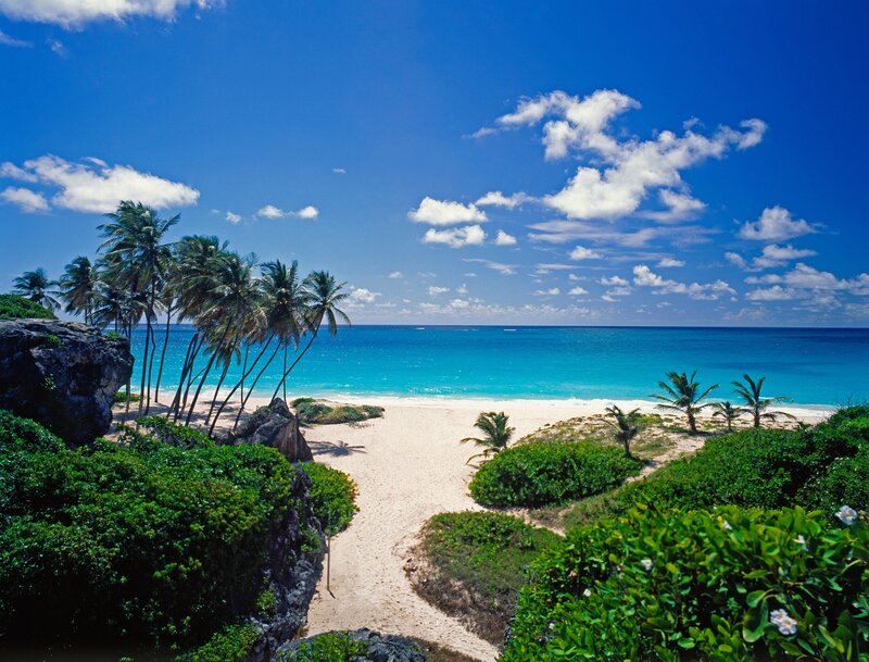 tropical beach with palm trees