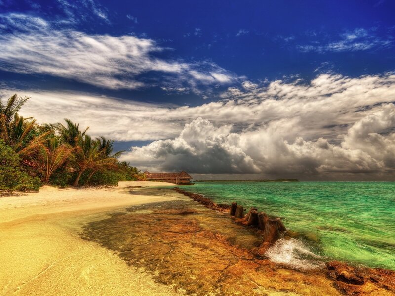 Tropical Beach with Palm Trees — Blue, Dramatic, Afternoon, Photograph, Palm Trees, Ocean, Clouds, Bungalow