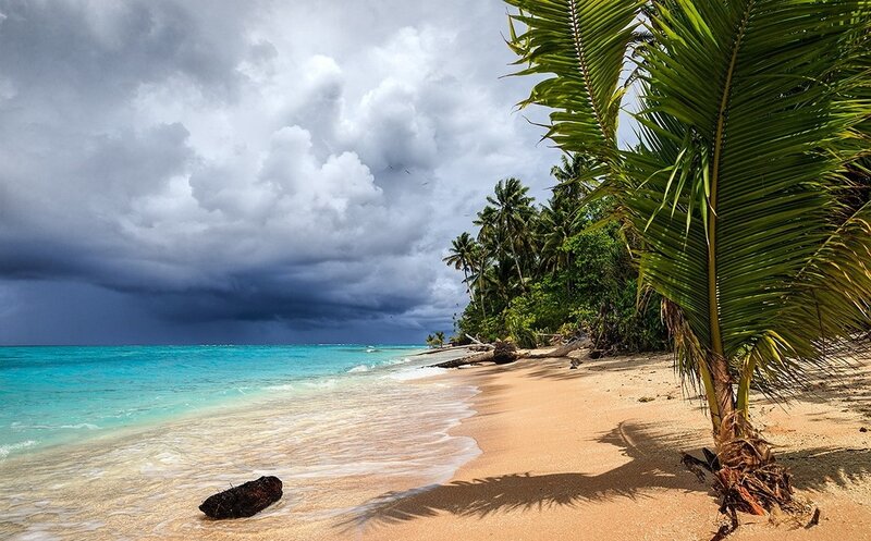 Tropical Beach with Palm Trees — Blue, Dramatic, Afternoon, Photograph, Palm Trees, Ocean, Sand