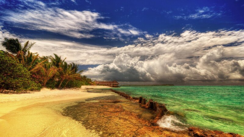 Tropical Beach with Palm Trees — Blue, Dramatic, Afternoon, Photograph, Palm Trees