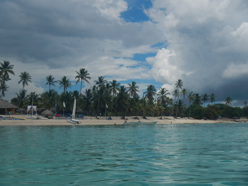 Tropical Beach with Palm Trees — Blue, Dramatic, Afternoon, Photograph