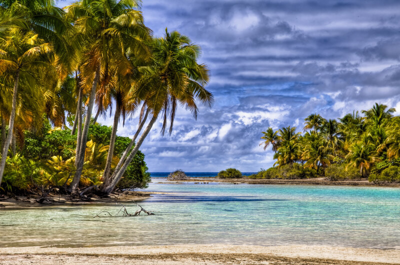 Tropical Beach with Palm Trees — Blue, Dramatic, Afternoon