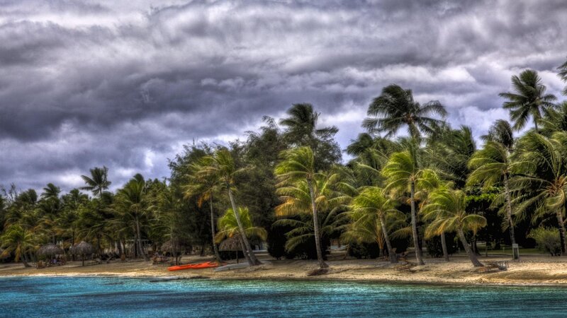 Tropical Beach with Palm Trees — Blue, Dramatic, Photograph
