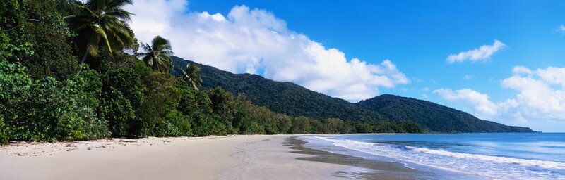Tropical Beach with Palm Trees — Blue, Mountain