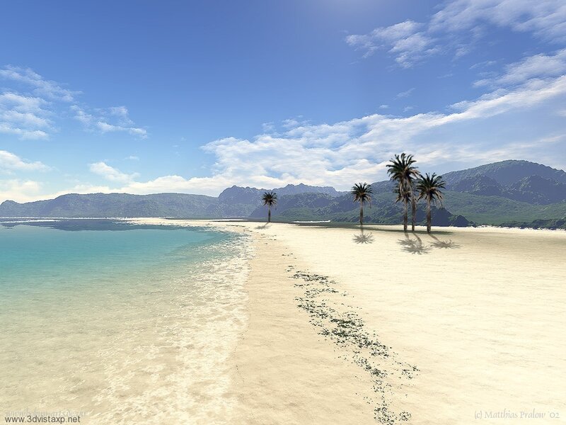 Tropical Beach with Palm Trees — Blue, Serene, Afternoon, 3d Render