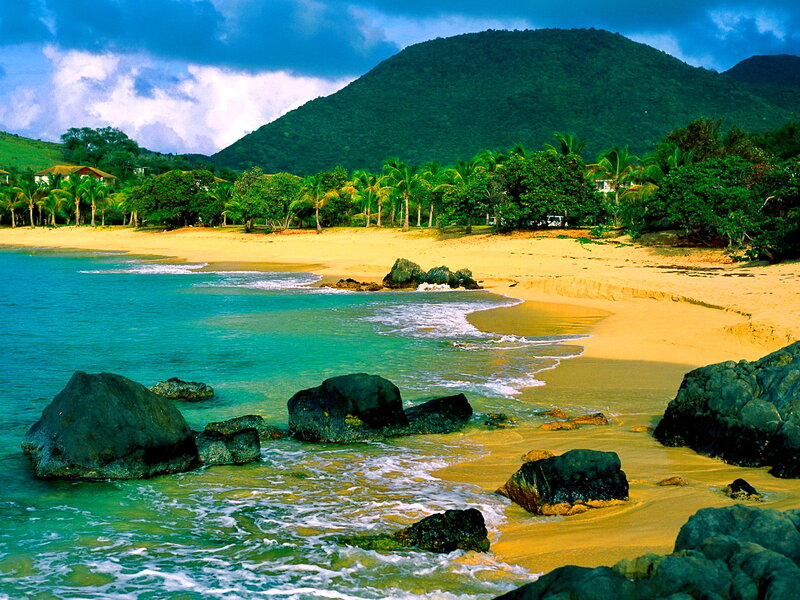 Tropical Beach with Palm Trees — Blue, Serene, Afternoon, Photograph, Mountain