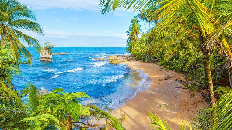 Tropical Beach with Palm Trees — Blue, Serene, Afternoon, Photograph, Ocean, Sand, Rock